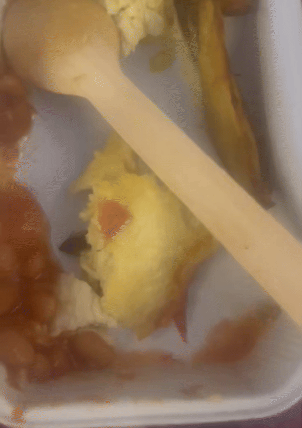 지난 2일(현지시간) 미국 샌프란시스코에서 출발해 인도 뭄바이로 향하던 에어인디아 여객기에서 바퀴벌레가 나온 일이 발생해 에어인디아 측이 사과했다. 바퀴벌레나 쥐 관련 에어인디아의 비위생 논란은 이번이 처음은 아니다. 영상은 지난해 9월 인도 델리에서 미국 뉴욕으로 향하던 에어인디아 여객기 기내식에서 나왔던 죽은 바퀴벌레. 엑스 계정 ‘suyeshasavant’ 캡처