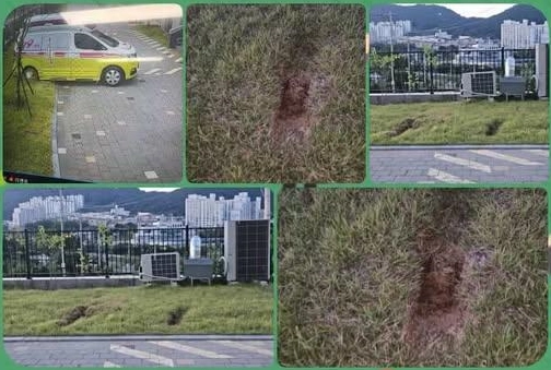 환자 이송을 위해 119구급차가 출동한 전남의 한 아파트에서 최근 “잔디가 훼손됐다”며 민원이 제기된 사실이 알려졌다. 온라인 커뮤니티 ‘보배드림’ 캡처