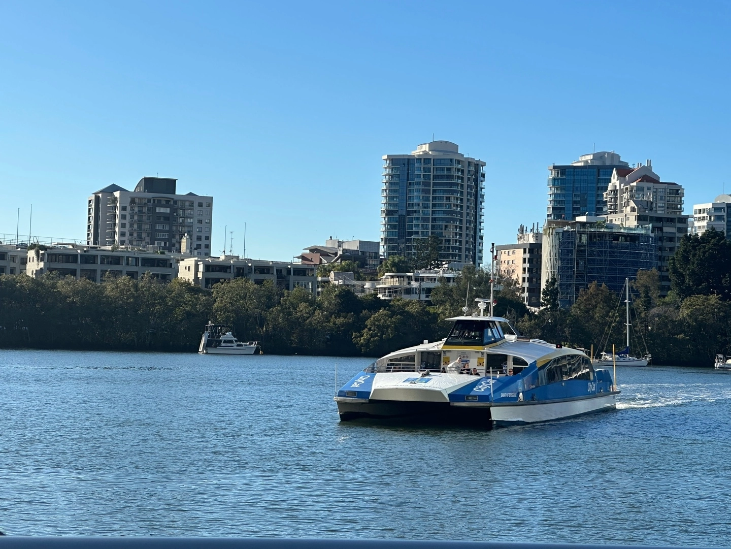 브리즈번강 위를 달리는 수상버스 ‘시티캣’의 모습. 브리즈번 임태환기자