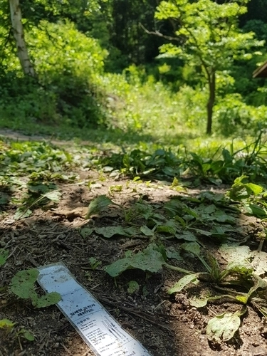 등산객 살인 현장. 이씨는 일기장에 “이미 시작한 거 끝을 봐야지”라고 썼다.
연합뉴스