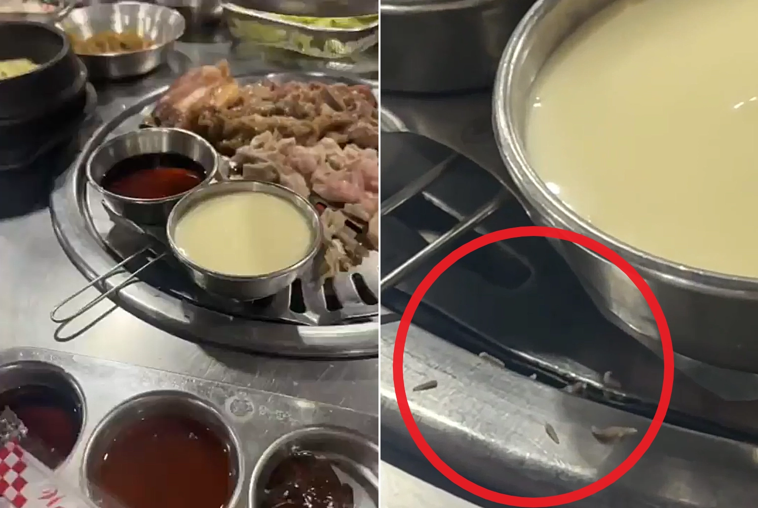 고기가 구워지고 있는 불판 가장자리에 구더기가 바글대는 짧은 영상이 틱톡에서 조회수 2600만회를 넘기며 화제가 됐다. 이 영상에는 ‘삼겹살’ 해시태그가 붙었다. 틱톡 계정 ‘riiicaaaa’ 캡처