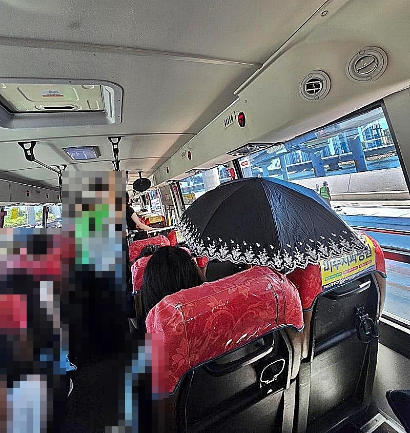 11일 자동차 커뮤니티 보배드림에는 부산의 한 시내버스 안에서 양산을 쓴 아주머니를 포착했다는 글과 사진이 게시됐다. 2025.8.11 온라인 커뮤니티