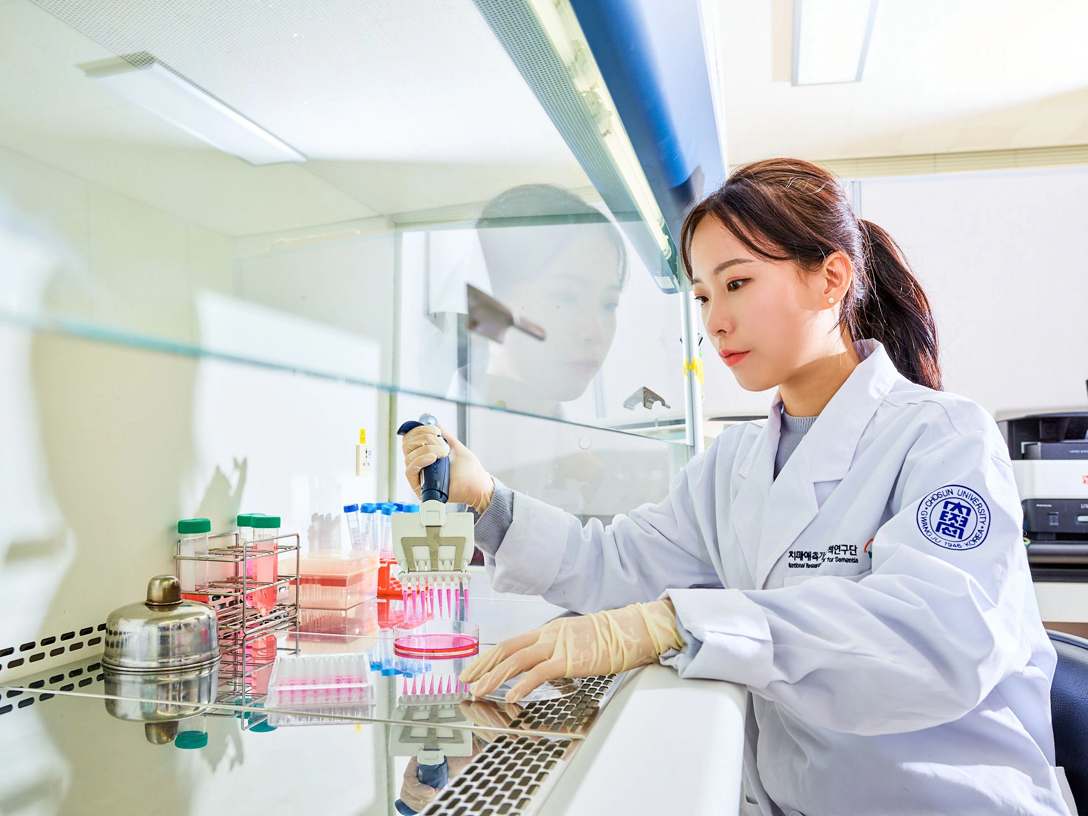 조선대 실험실.﻿ 
조선대 제공