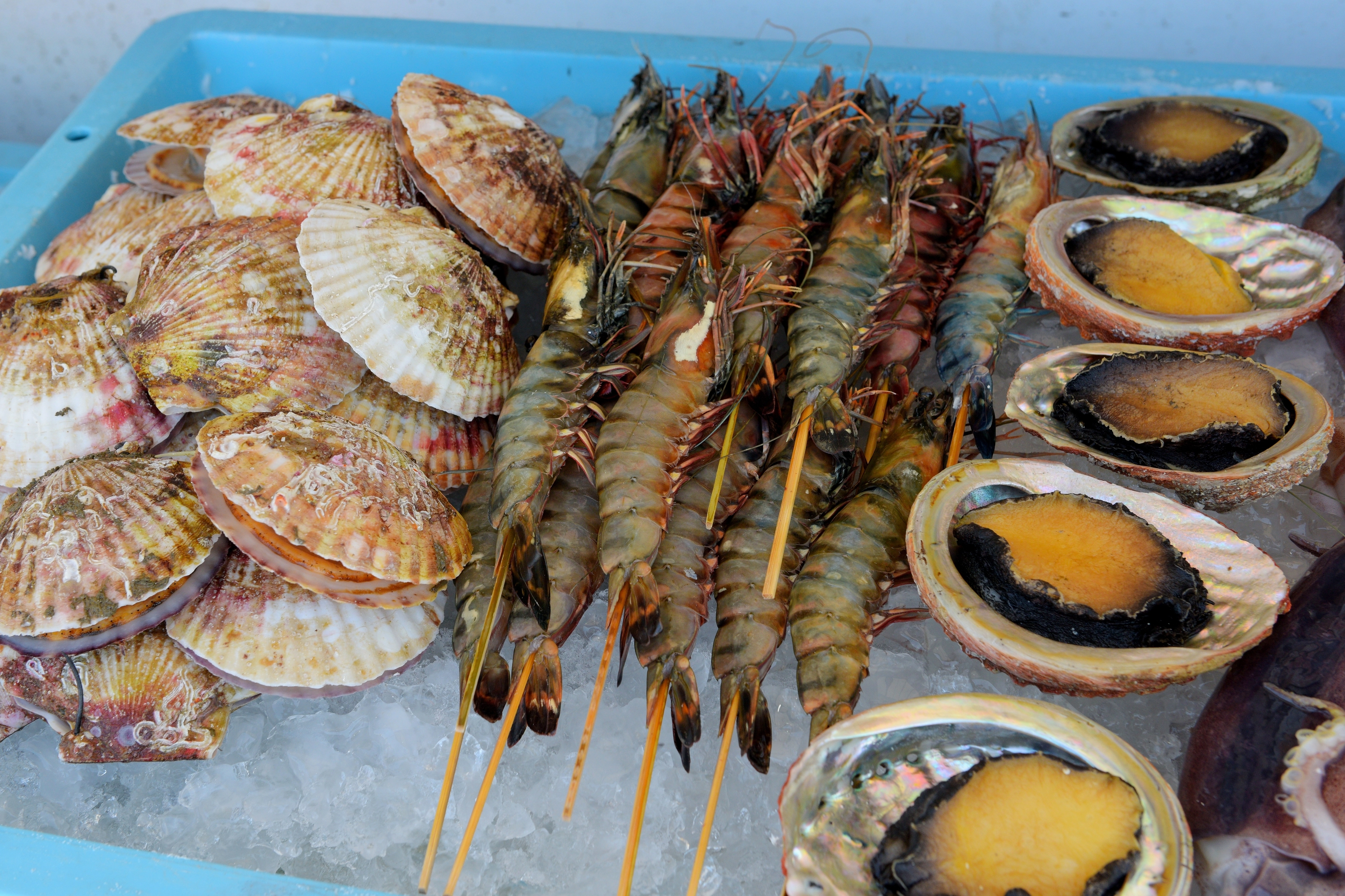 해산물 이미지. 기사와 관련 없음. 자료 : 아이클릭아트