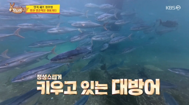 KBS 2TV ‘사장님 귀는 당나귀 귀’ 양준혁