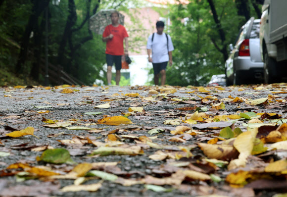 1일 광주 북구 중외공원에서 시민들이 낙엽이 쌓인 길을 걷고 있다. 2025.9.1  연합뉴스