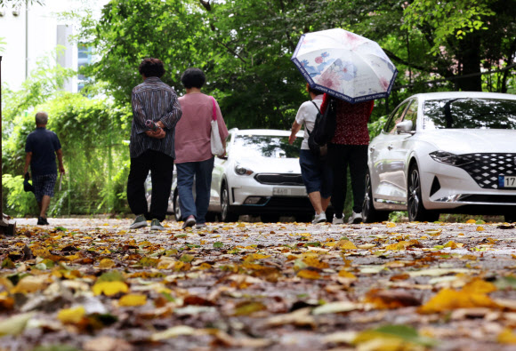 1일 광주 북구 중외공원에서 시민들이 낙엽이 쌓인 길을 걷고 있다. 2025.9.1  연합뉴스