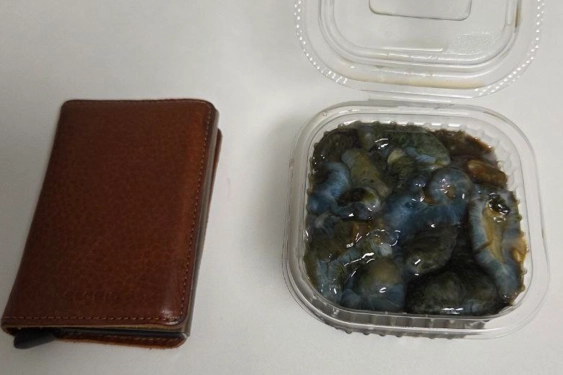 부산의 한 횟집이 해삼 한 접시를 7만원에 판매했다는 사연이 전해져 ‘바가지 상술’ 논란이 일었다. 온라인 커뮤니티 ‘보배드림’ 캡처