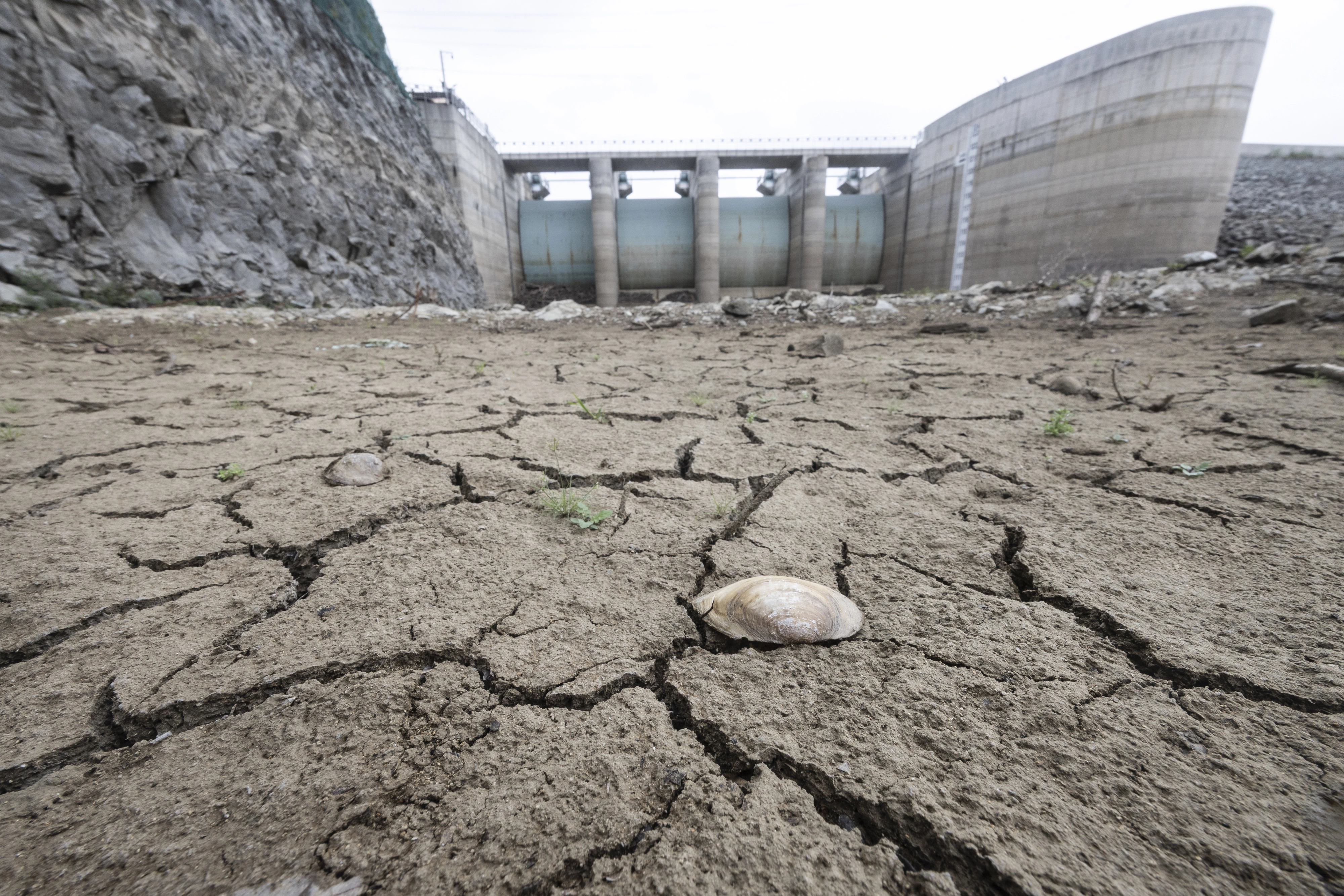 계속되는 가뭄에 갈라진 오봉저수지 바닥  강릉지역에 극심한 가뭄 계속되는 4일  강원 강릉 오봉저수지의 바닥이 갈라져 있다. 2025.9.4 뉴시스