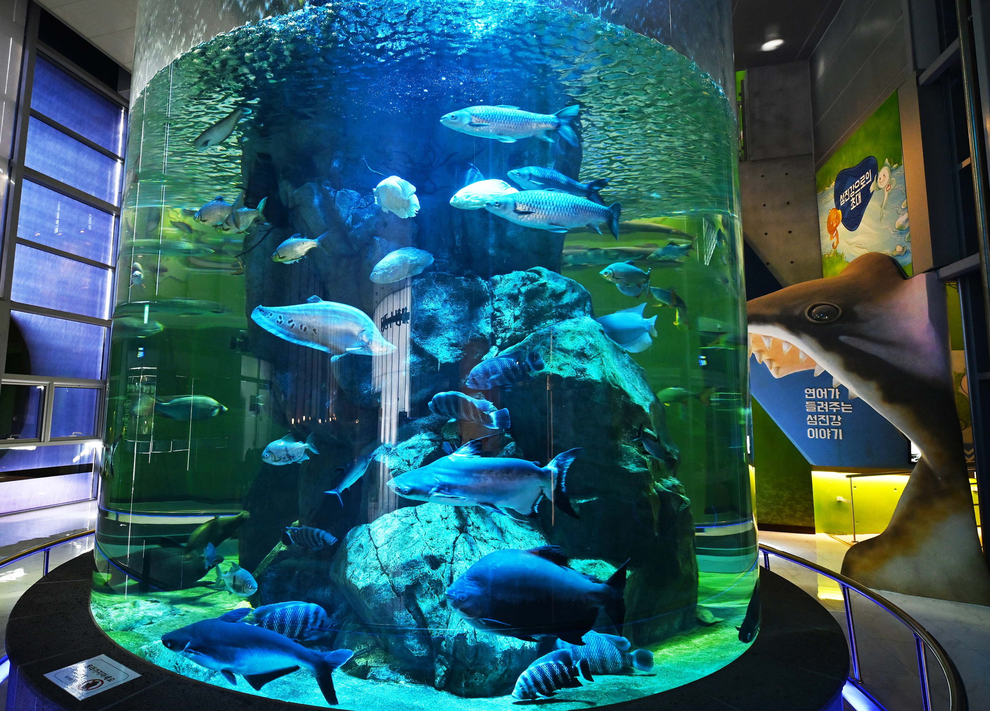 섬진강어류생태관.