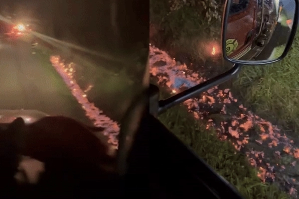 미국 뉴욕주 북부에 있는 소도시의 한 창고에서 유통기한이 지난 손 소독제가 대거 유출되면서 시냇물이 용암처럼 끓어오르는 등 큰 화재가 발생했던 것으로 전해졌다. 현지 소방당국 페이스북 캡처