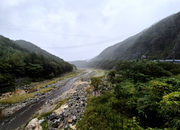 13일 가뭄으로 메마른 강원 강릉시 오봉저수지 일원에 비가 내리고 있다. 이날 오전 8시 기준 오봉저수지 저수율은 11.9%로 전날보다 0.4%포인트 올랐다. 2025.9.13. 연합뉴스