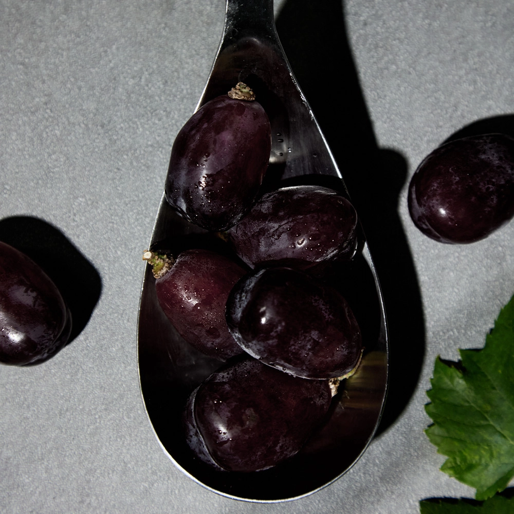 로얄바인. 알프스농원 제공