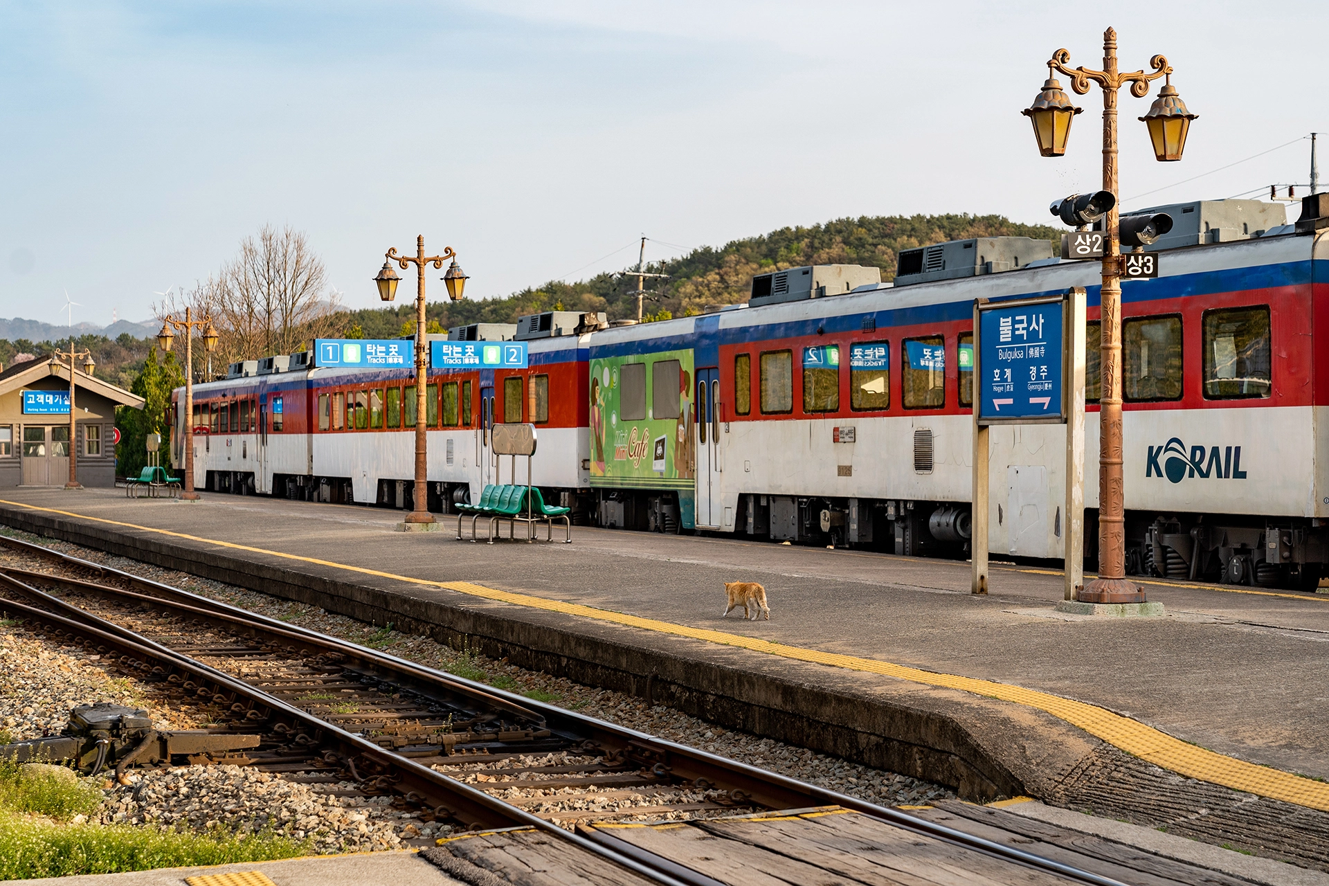 한국철도공사 제공
