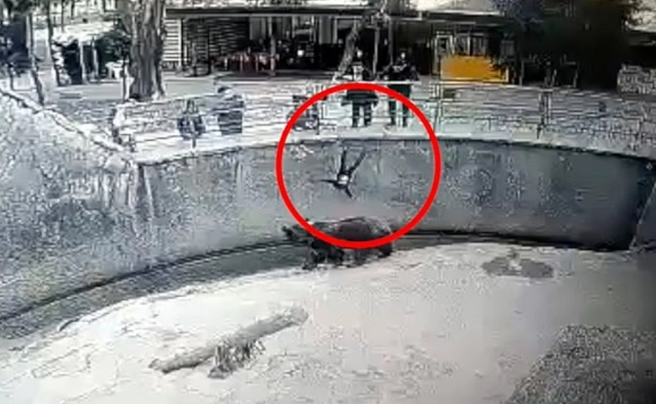 3년 전 동물원에서 어린 딸을 불곰 우리 안으로 던져 충격을 주었던 우즈베키스탄의 한 여성이 결국 그 딸을 흉기로 살해한 혐의로 구금됐다. 타슈켄트 동물원 제공