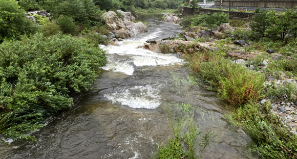 18일 이틀째 비가 내리면서 극심한 가뭄을 겪는 강원 강릉지역 상수원 오봉저수지로 상류 지역인 왕산골에서 물이 계속해 흘러들고 있다. 2025.9.18. 연합뉴스