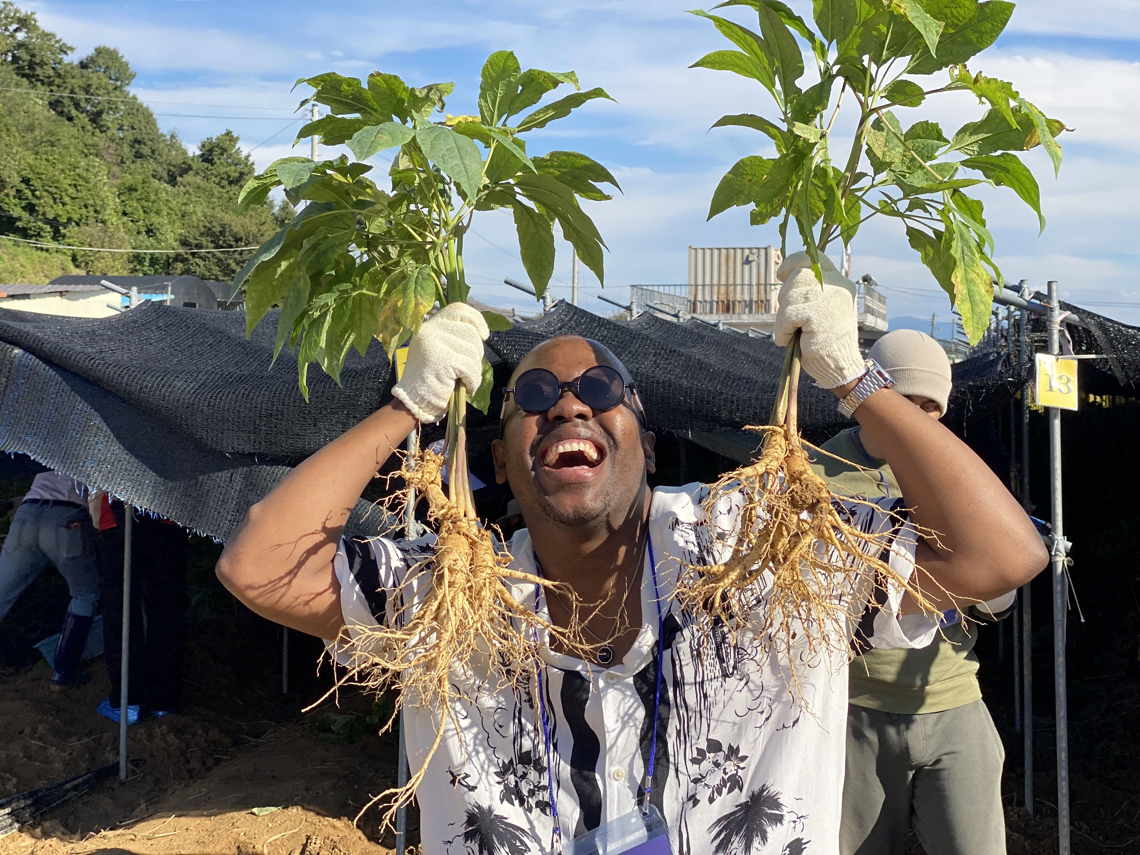 금산세계인삼축제에서 인삼 캐기 체험행사에 참여한 외국인. 금산군 제공