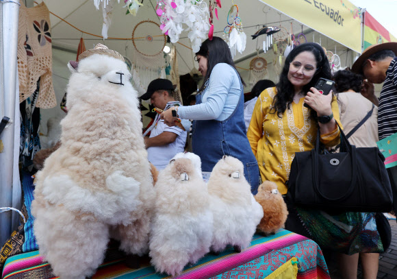 21일 서울 성북구청 일대에서 열린 제12회 라틴아메리카 축제에서 시민과 외국인들이 각 나라의 부스를 구경하고 있다. 2025.9.21  연합뉴스