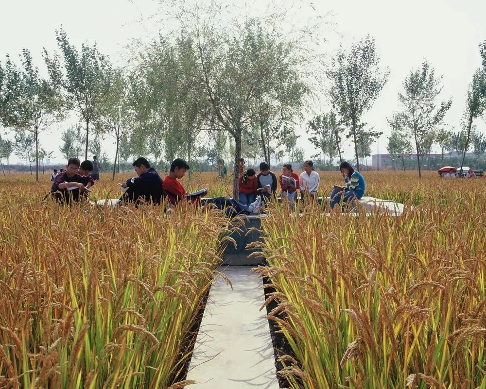 중국 선양 건주대학교의 논밭학교. 투렌스케이프 홈페이지 캡처