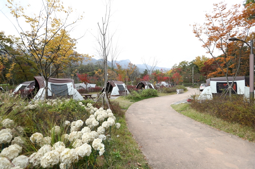 GANGBUK  서울 강북구 우이동 가족캠핑장.
강북구 제공