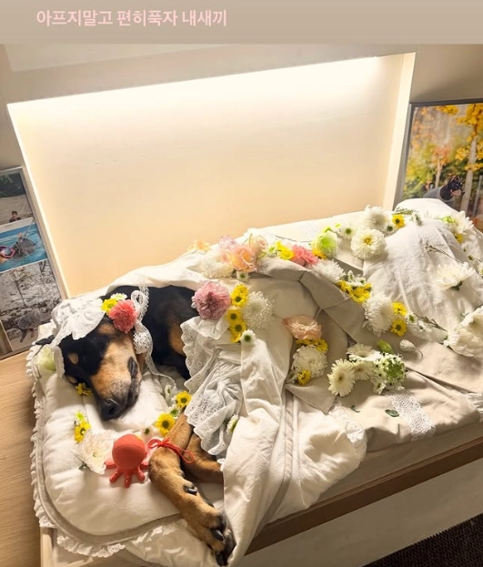 배정남 인스타그램 캡처