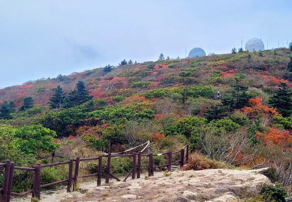 30일 강원 설악산국립공원 중청 일원이 점차 단풍으로 물들고 있다. 2025.9.30. 설악산국립공원사무소 제공