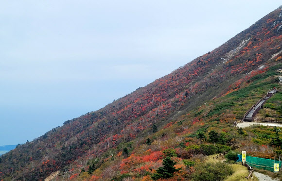 30일 강원 설악산국립공원 중청 일원이 점차 단풍으로 물들고 있다. 2025.9.30. 설악산국립공원사무소 제공