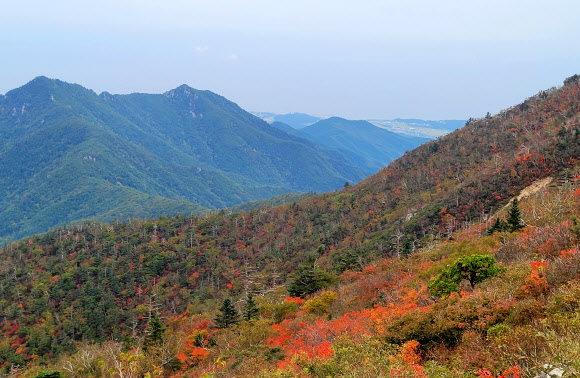 30일 강원 설악산국립공원 중청 일원이 점차 단풍으로 물들고 있다. 2025.9.30. 설악산국립공원사무소 제공