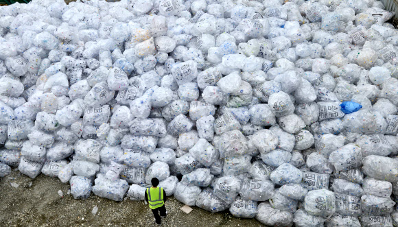 극한의 강릉 가뭄이 남긴 흔적