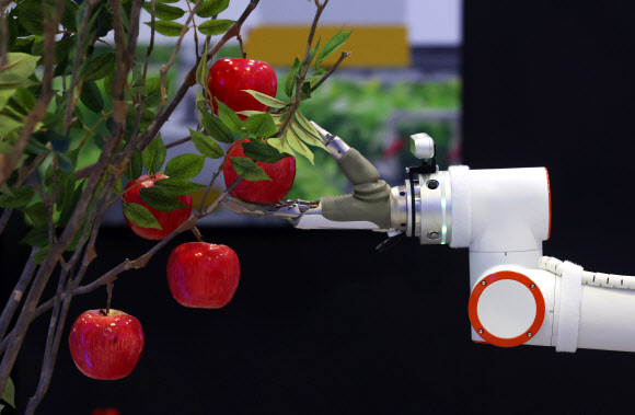 30일 강남구 코엑스에서 열린 ‘스마트라이프위크 2025’에서 로봇이 사과를 따는 동작을 하고 있다. 2025.9.30. 연합뉴스