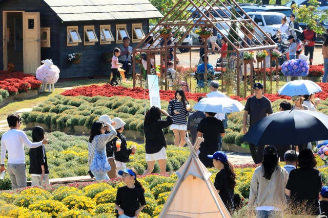 강원 인제 용대관광지 가을꽃축제장. 인제군 제공