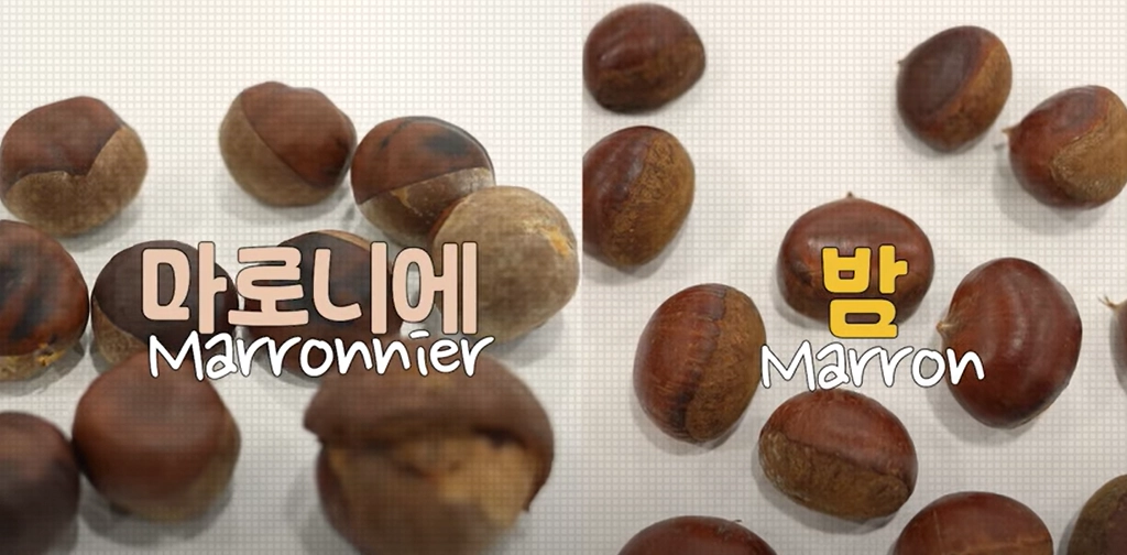 식품의약품안전처 유튜브 캡처