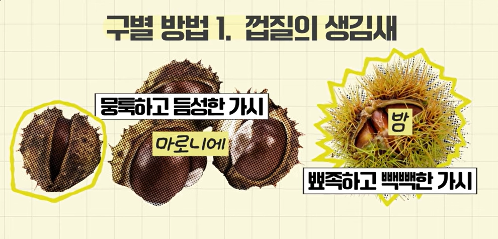 식품의약품안전처 유튜브 캡처