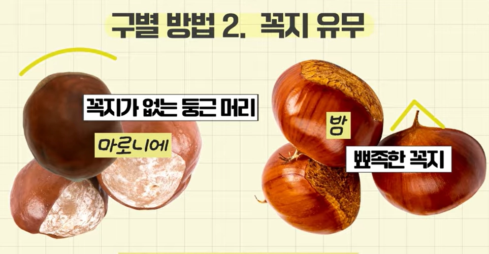 식품의약품안전처 유튜브 캡처