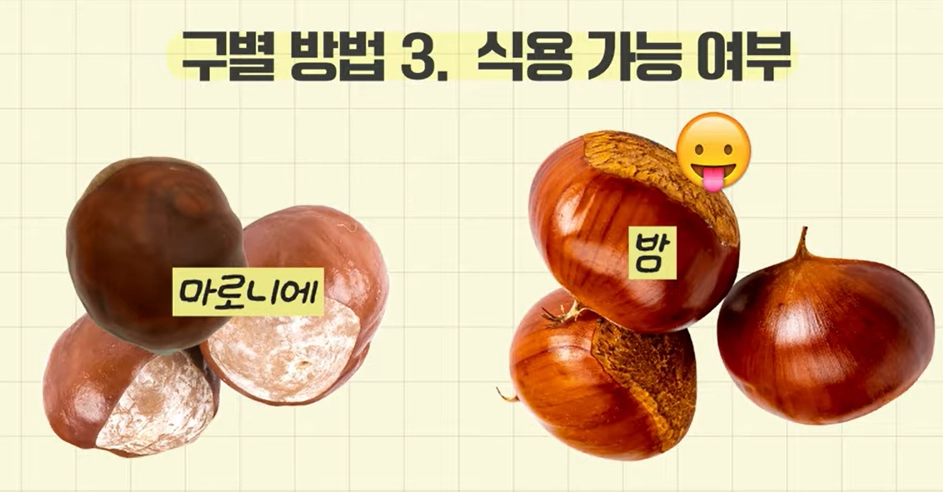 식품의약품안전처 유튜브 캡처
