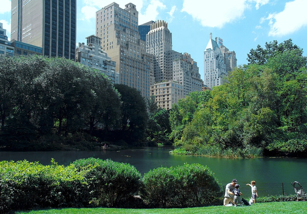 뉴욕 관련 이미지. 위키피디아