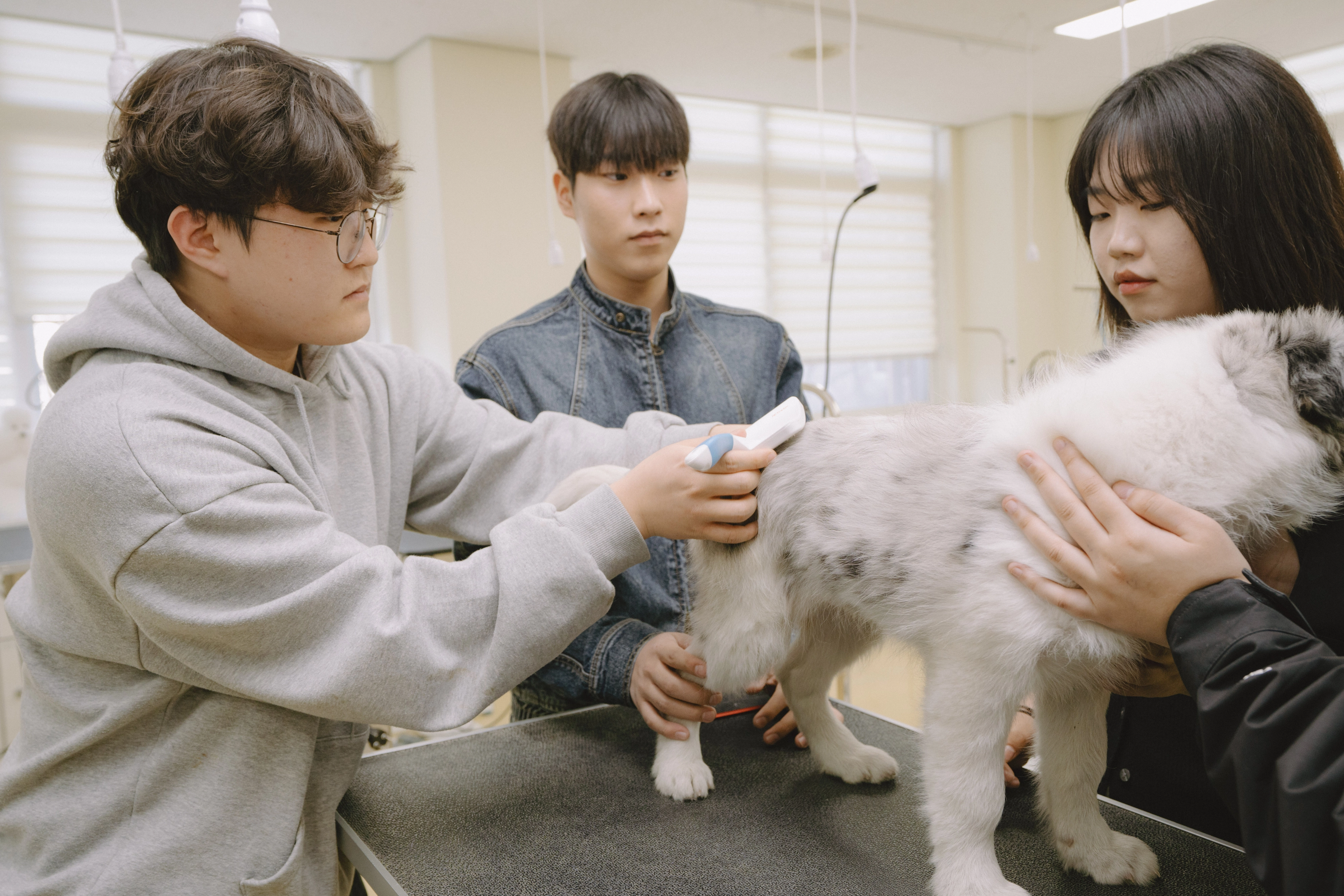 반려동물과 교육 현장(서정대 제공)