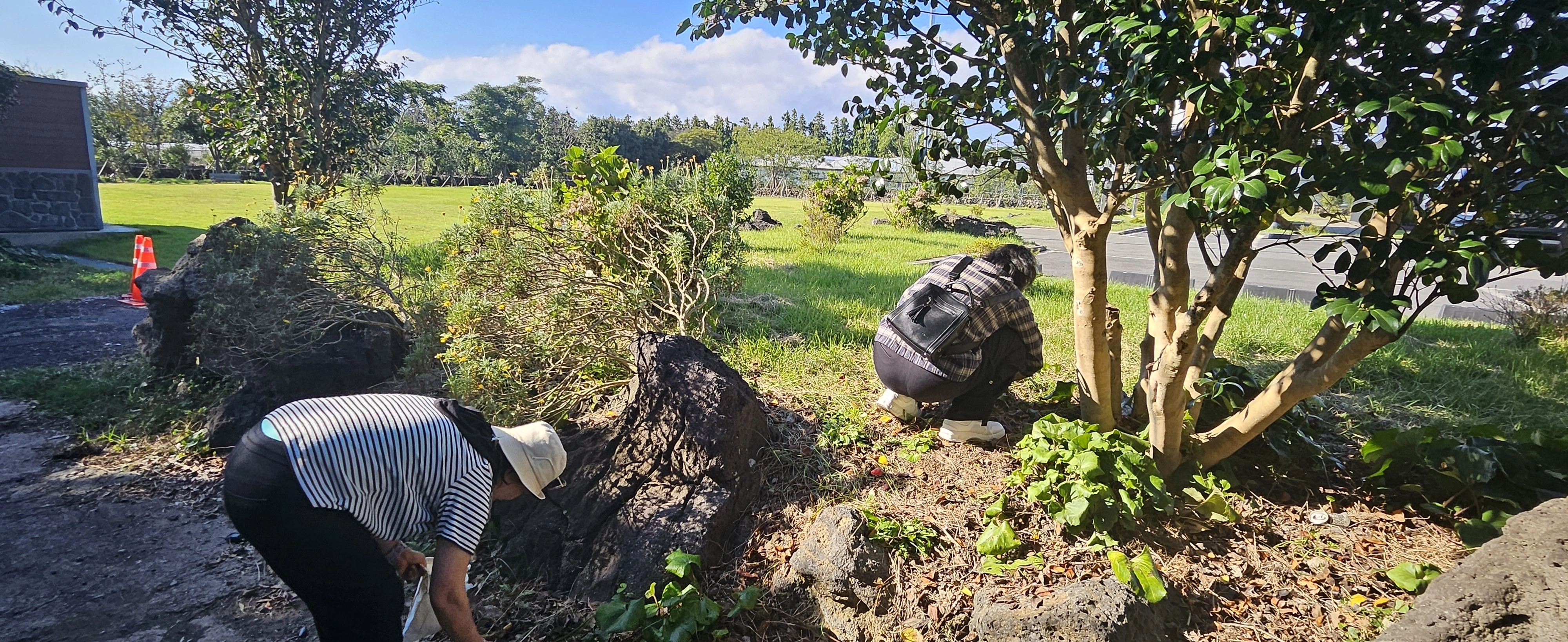 은퇴자마을 체험 프로그램 참가자들이 동백마을 프로그램 중 가장 인기 좋은 동백씨앗을 직접 줍고 있다. 제주 강동삼 기자