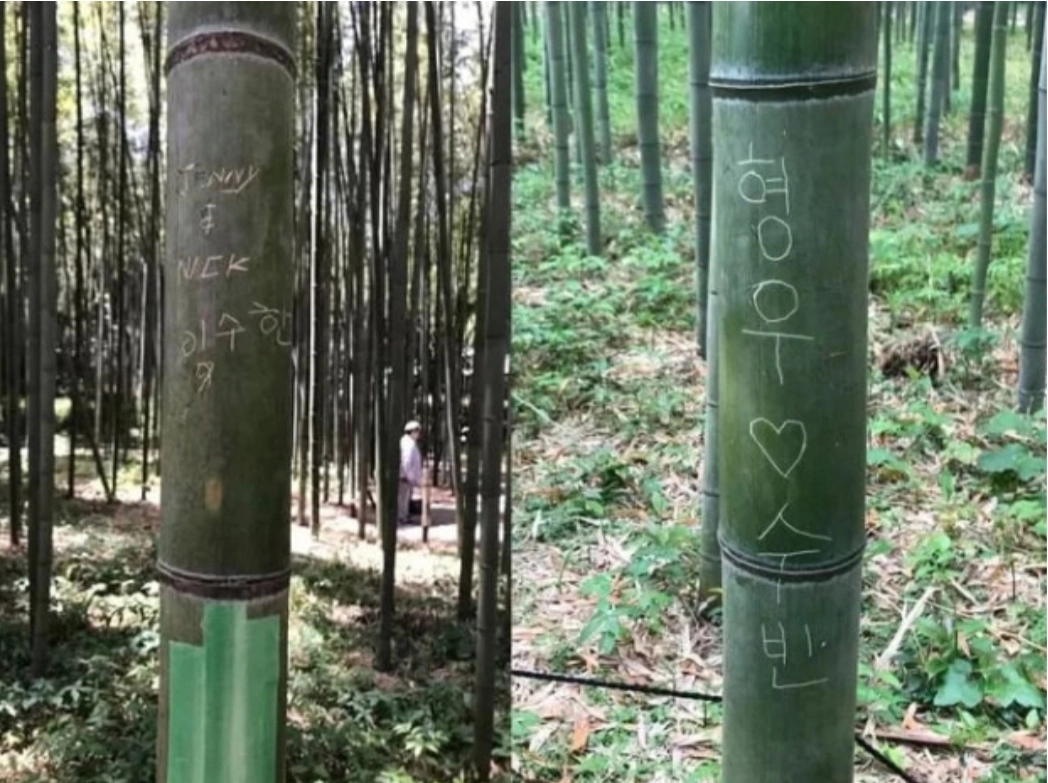 일본 교토 명소 중 하나인 아라시야마의 대나무숲 산책로에서 발견된 한글 낙서. 서경덕 교수 제공