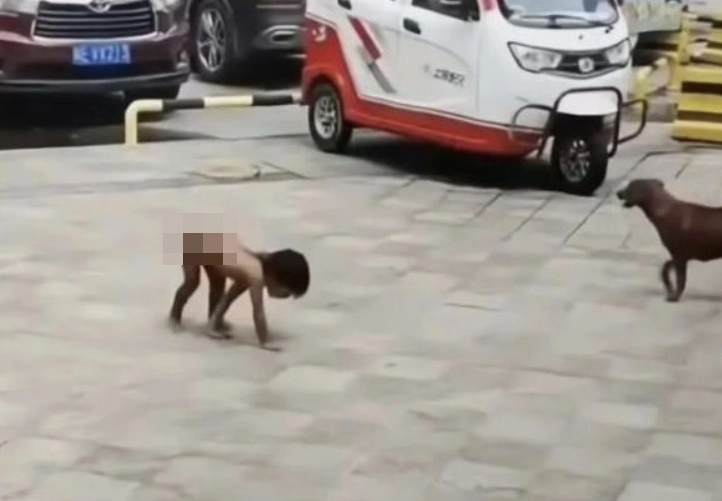 중국의 한 부모가 3살 아들을 발가벗기고 바닥에 기어다니게 하며 짐승처럼 키워 당국이 아동 학대 여부 등에 대한 조사에 나섰다. 자료 : 중국 웨이보