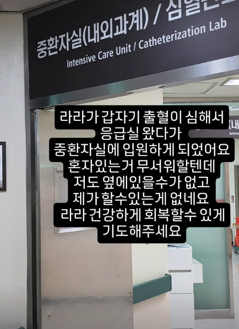 손민수 인스타그램 캡처
