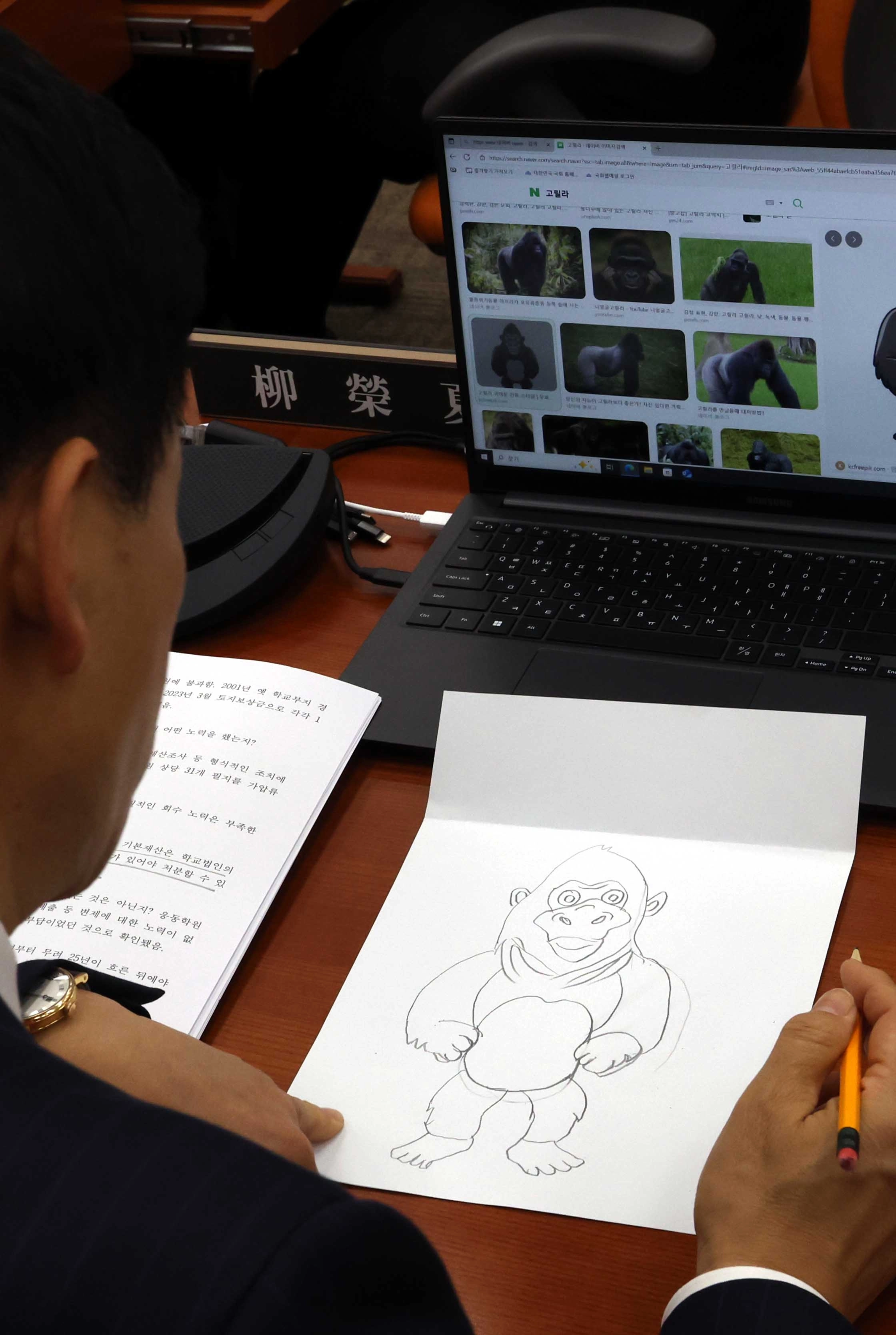 국정감사 중 고릴라 그림 그리는 유영하 의원  유영하 국민의힘 의원이 27일 오후 서울 여의도 국회 정무위원회에서 열린 국정감사에서 고릴라 그림을 그리고 있다. 2025.10.27. 뉴시스