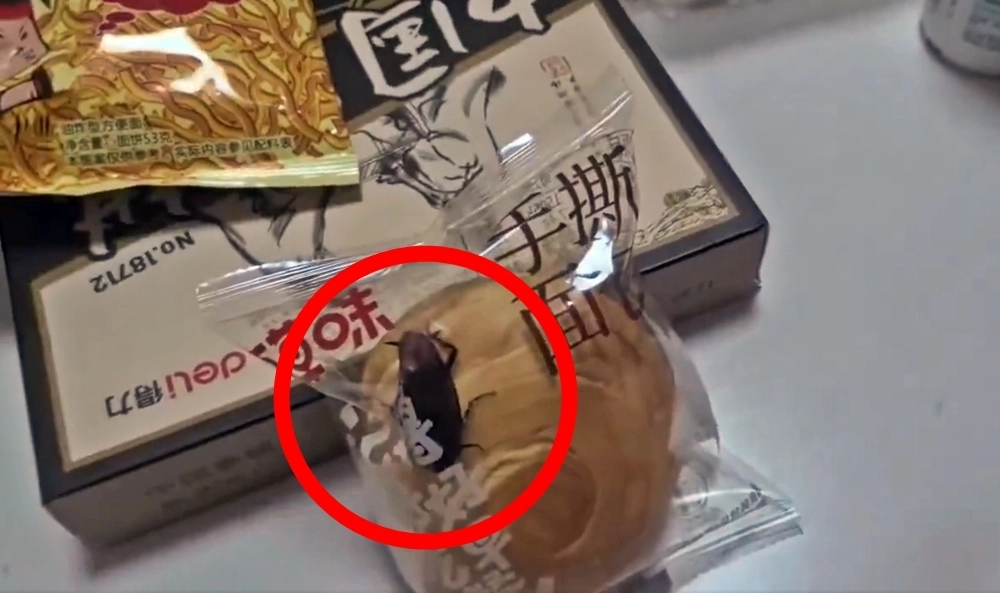 26일 홍성신문에 따르면 중국 장쑤성 난퉁 소비자 A씨는 전날 소셜미디어(SNS)에 바퀴벌레가 산 채로 든 빵 봉지 관련 영상을 올렸다. 2025.10.25 엑스