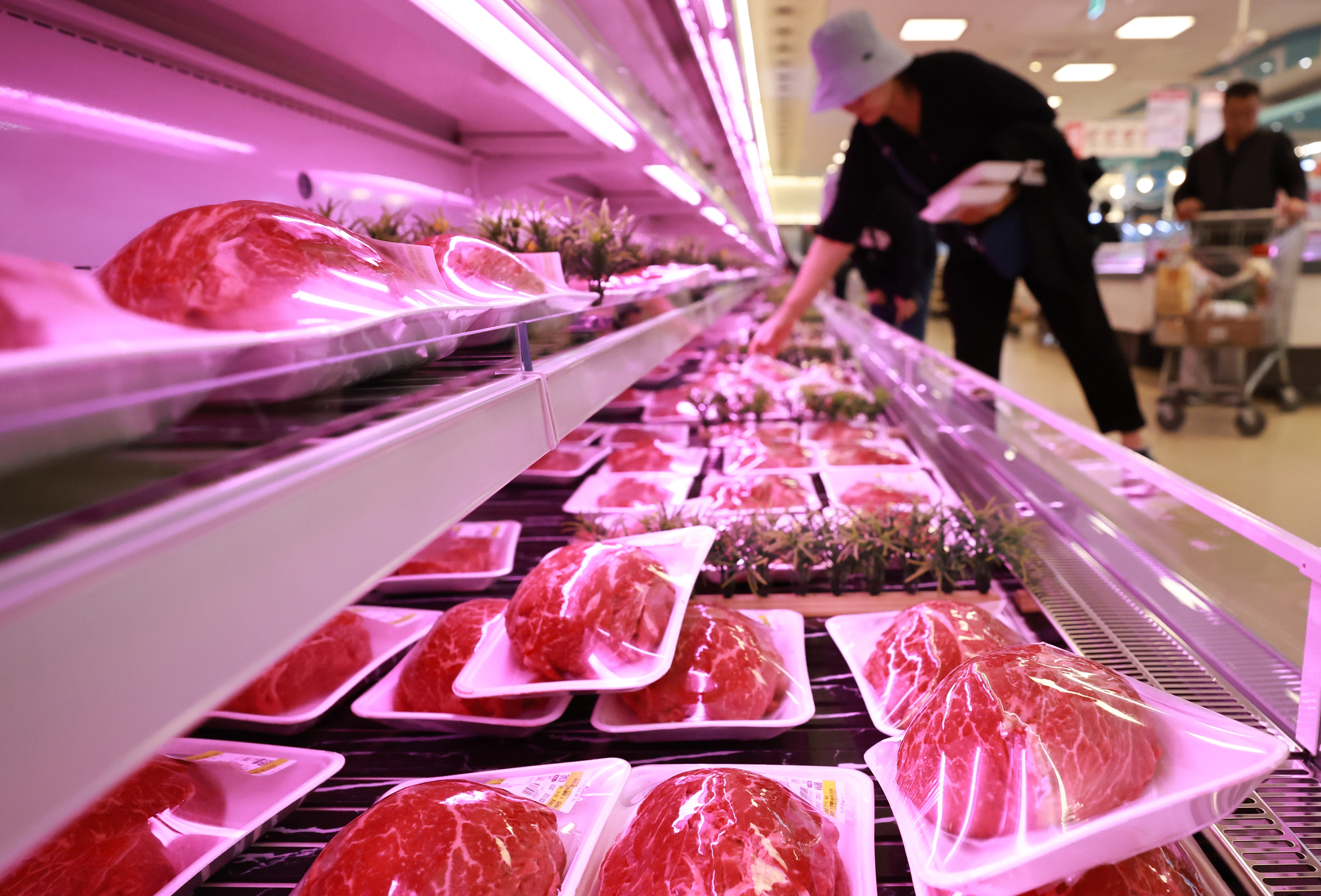 상승세 보이는 농축산물 생산자물가 
    (서울=연합뉴스) 홍해인 기자 = 22일 서울의 한 대형마트에서 소비자가 한우 제품을 고르고 있다. 
    이날 한국은행에 따르면, 9월 생산자물가지수는 120.54(2020년 수준 100)로, 전월보다 0.4% 오른 것으로 집계됐다. 세부 품목 중 쌀(4.7%), 상추(38.9%), 쇠고기(6.9%), 돼지고기(3.3%) 등의 상승 폭이 컸다. 2025.10.22
    hihong@yna.co.kr
(끝)