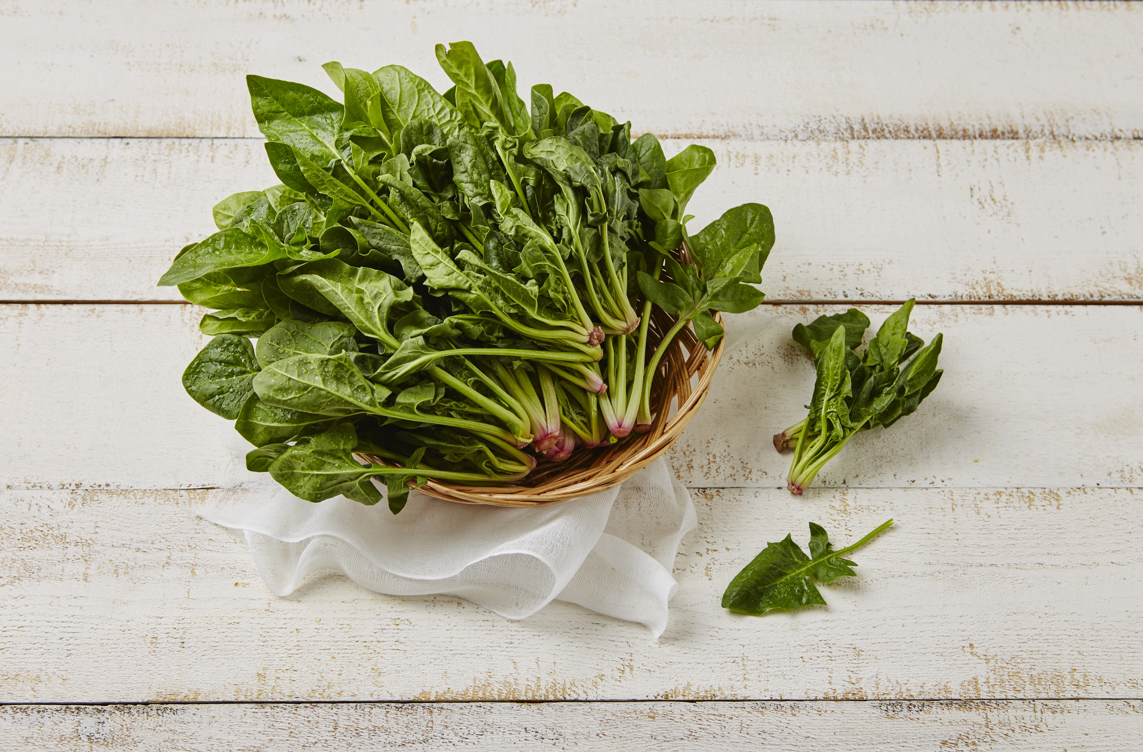 시금치 자료 사진. 아이클릭아트