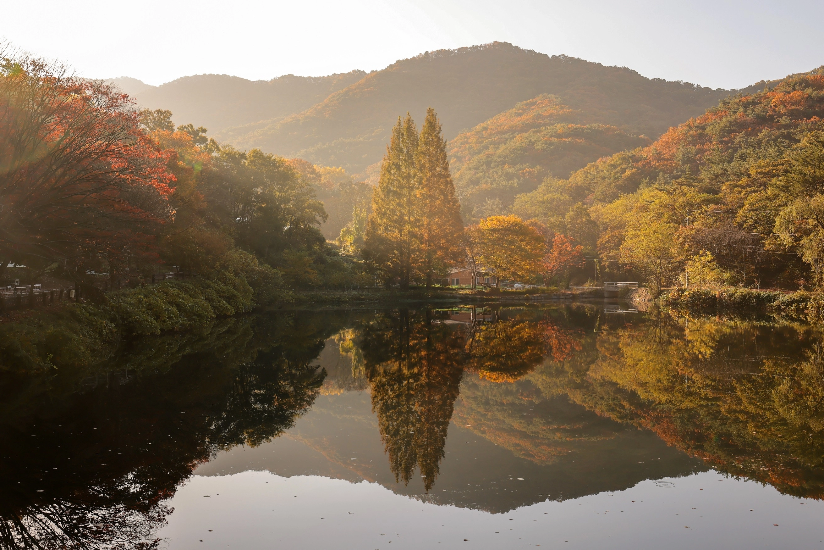 공주 불장골저수지. 도 제공