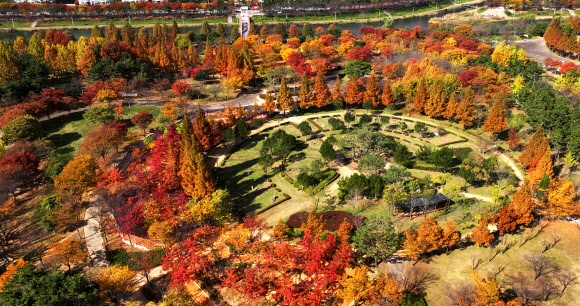 북쪽의 찬 공기가 남하하며 쌀쌀한 날씨를 보인 2일 경기도 안산시 상록구 안산호수공원에 단풍이 물들어 있다. 2025.11.2  연합뉴스