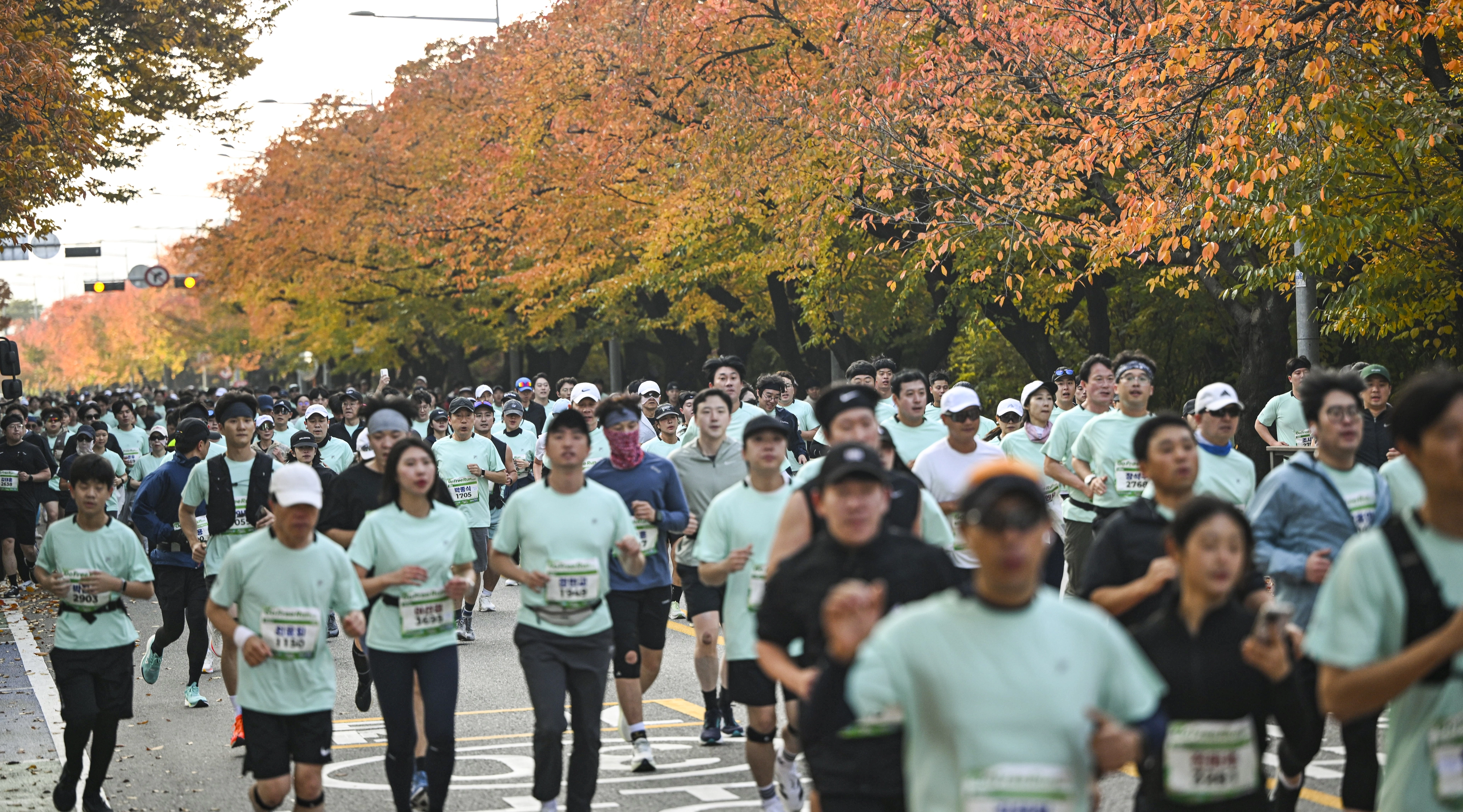 서울신문 ‘고 프리 런(Go Free Run)’ 마라톤이 열린 9일 서울 영등포구 여의도공원 일대에서 참가자들이 단풍나무를 배경으로 힘차게 달리고 있다. 2025.11.9 이지훈 기자