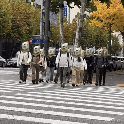 서울 강남구 대치동 은마사거리에 등장한 잉어 탈을 쓴 무리. 엑스(X) 갈무리