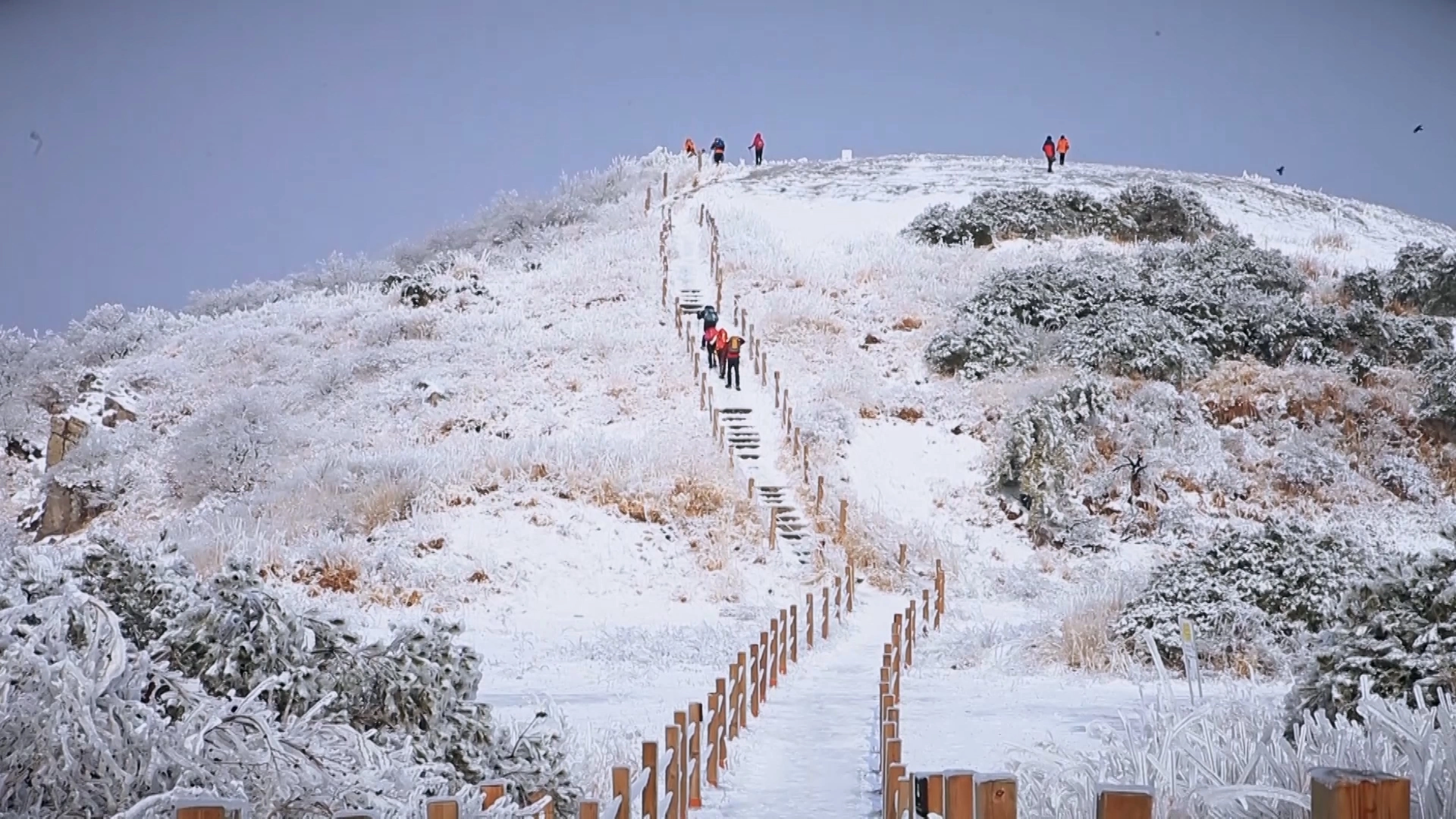 양산 천성산 설경